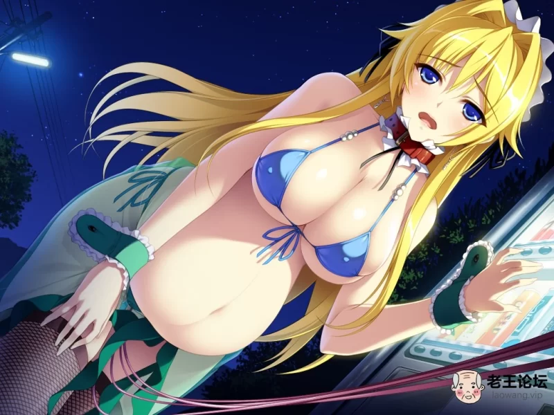 Konachan.com - 185079 berochu bikini_top blonde_hair blue_eyes collar game_cg hi.jpg